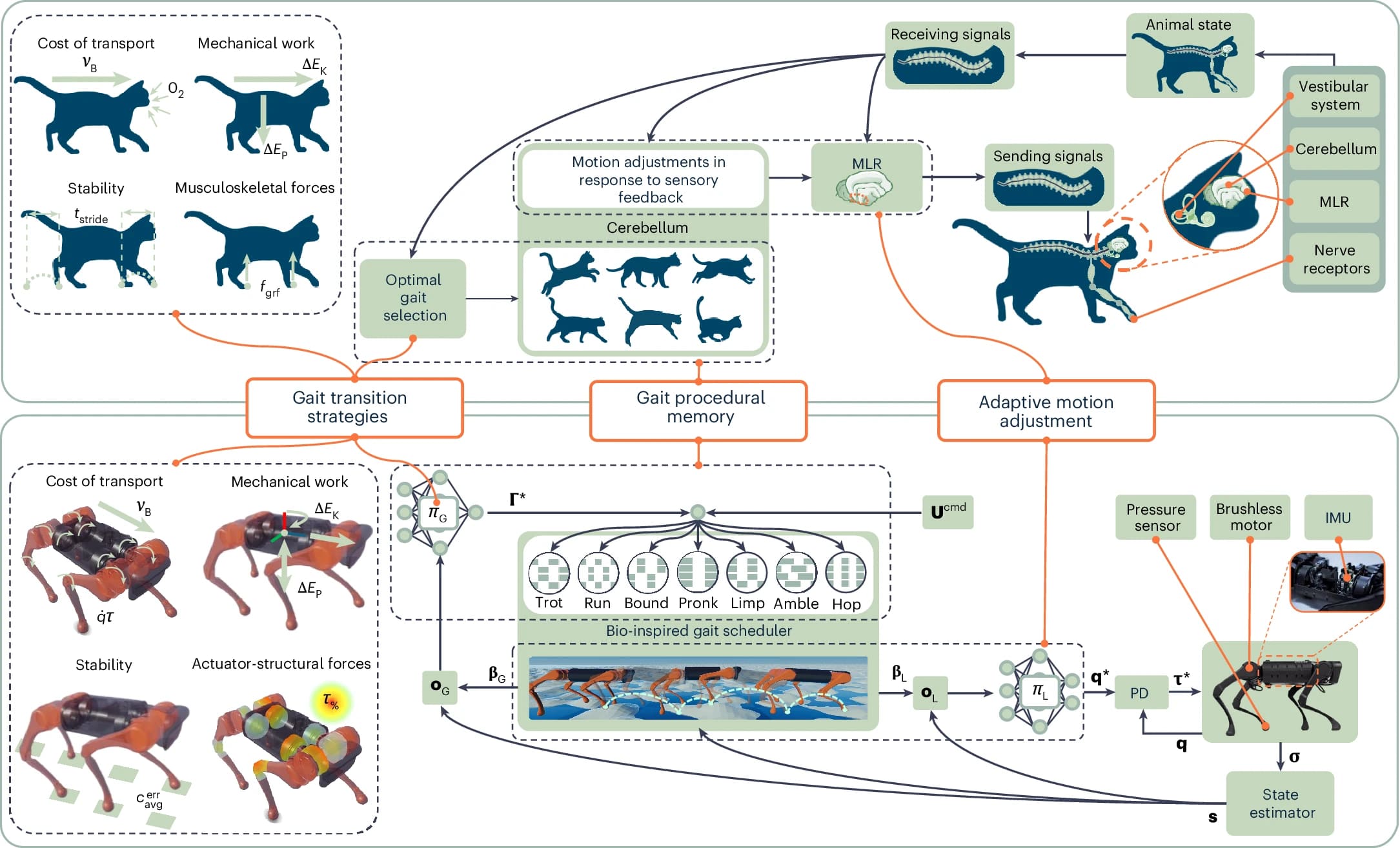 Znázornění učení se pohybům